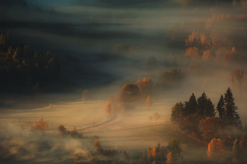 bonnieandclyde - The Last Breath of Autumn. . Zdjęcie 262005