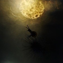 W objęciach światłocieni