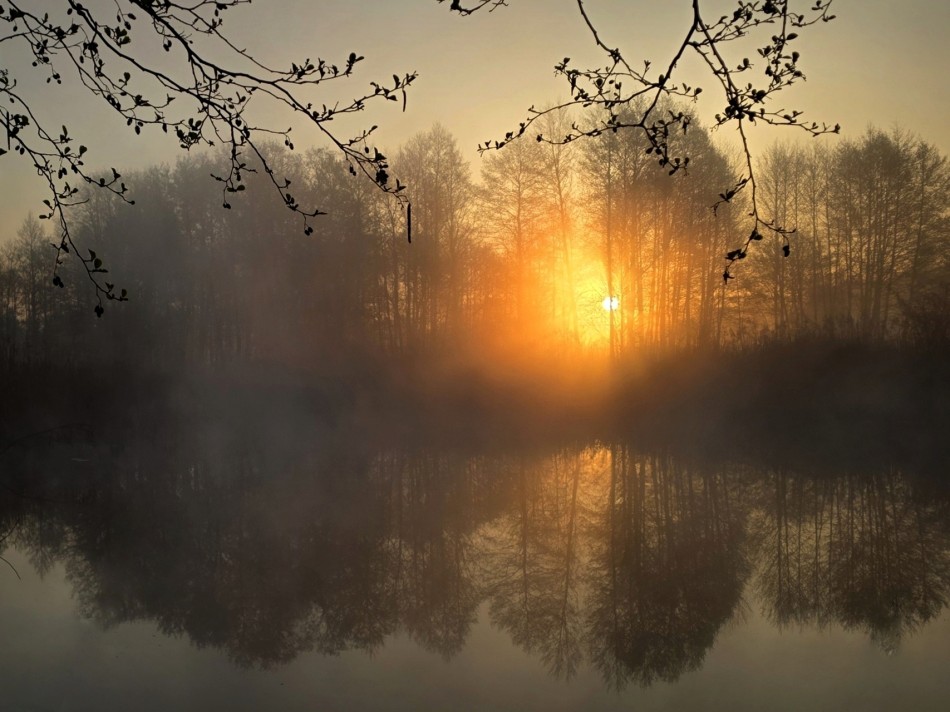 sorella - Cisza. . Zdjęcie 337581