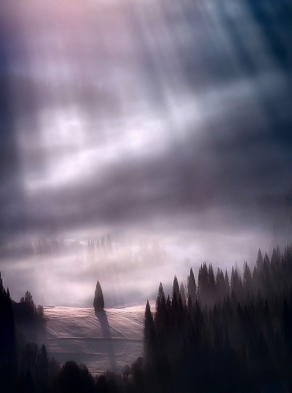 sbogdan1 - Zaczarowane światło. . Zdjęcie 42826