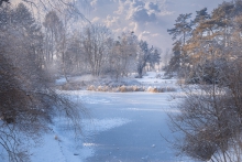 Widoczek