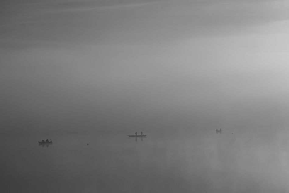 mon_ika - . . Zdjęcie 310491