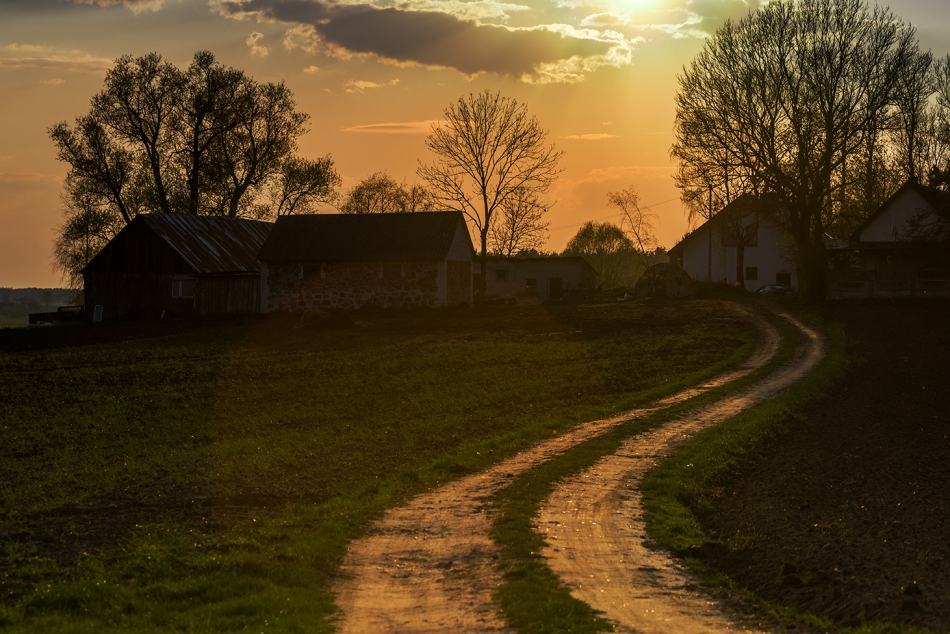 . . Zdjęcie 314200