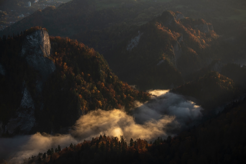 marekz - . . Zdjęcie 327727