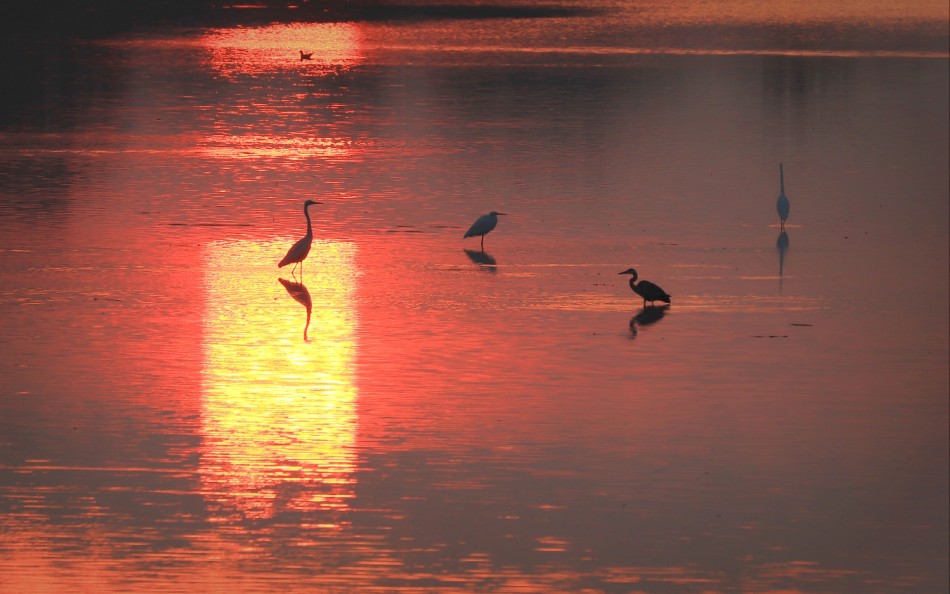 W świetle reflektorów