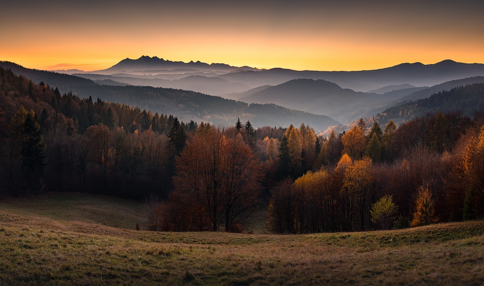 karol_nienartowicz - Widok na Tatry znad Wierchomli. Beskid Sądecki, 1 listopada 2024.. Zdjęcie 328165