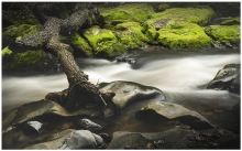 Roslin / Scotland