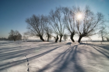 Zimowe pląsy