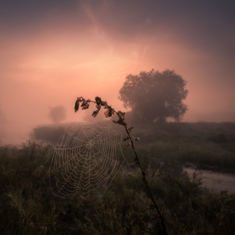 lukasz_de - . . Zdjęcie 318284