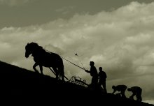 Traditional farming,,,