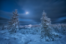 In the Moonlight...