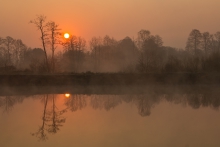 poranek nad stawem