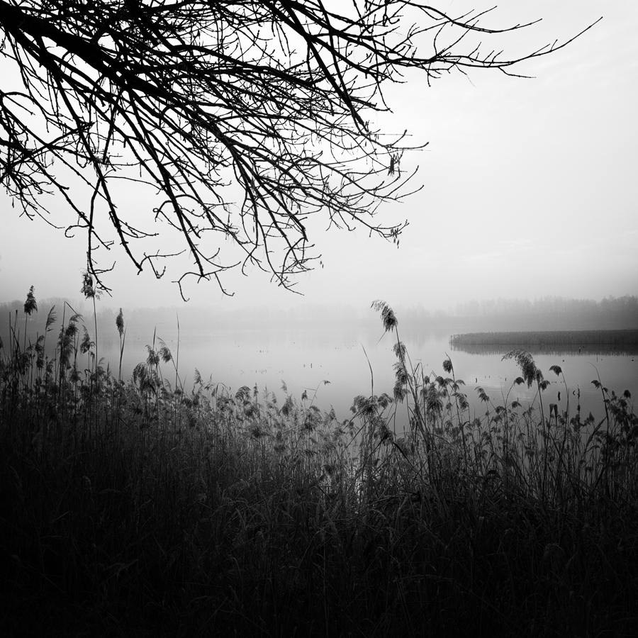 mrowkap - . . Zdjęcie 266118