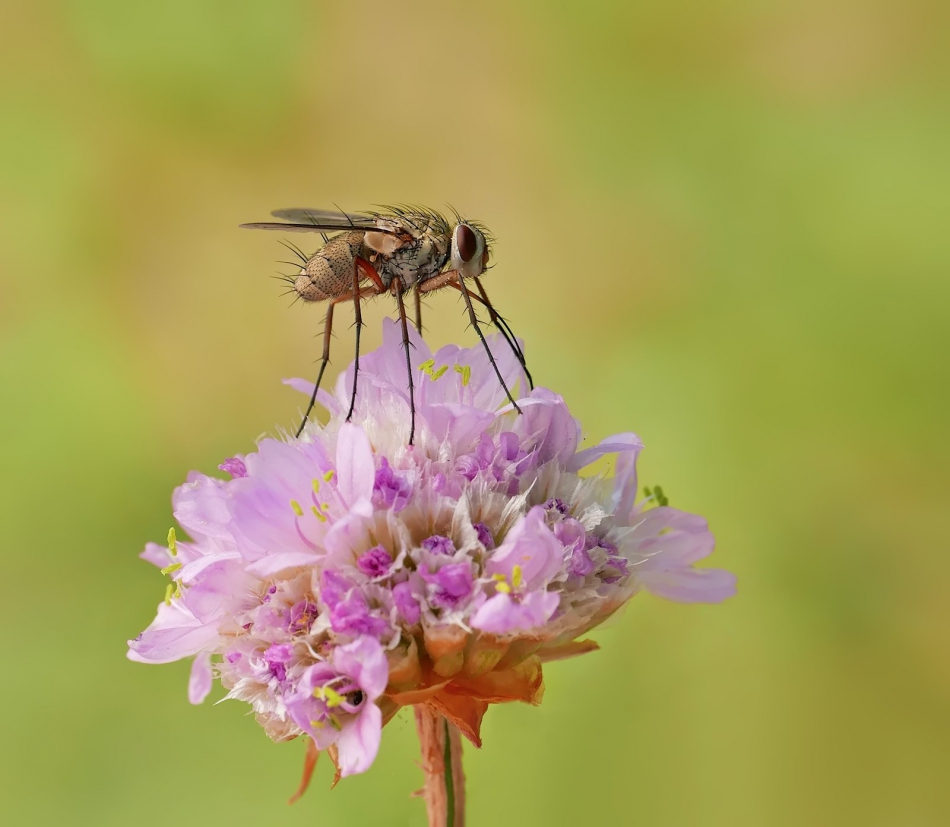 keni - . . Zdjęcie 309953