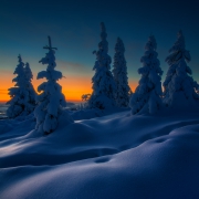 The Crisp Winter Air...