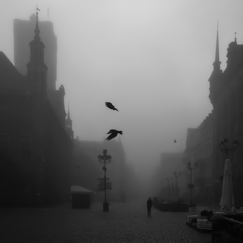 janish - . . Zdjęcie 317668