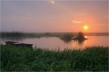 Poranek nad Narwią