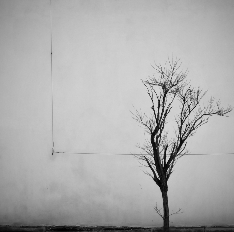 *. . Zdjęcie 88510