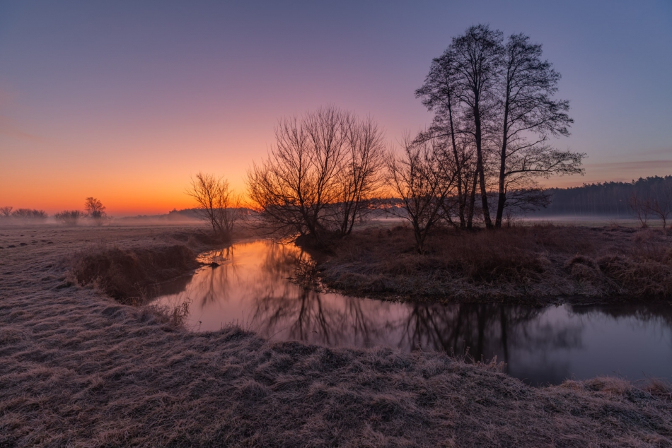 radson_foto - . . Zdjęcie 331083