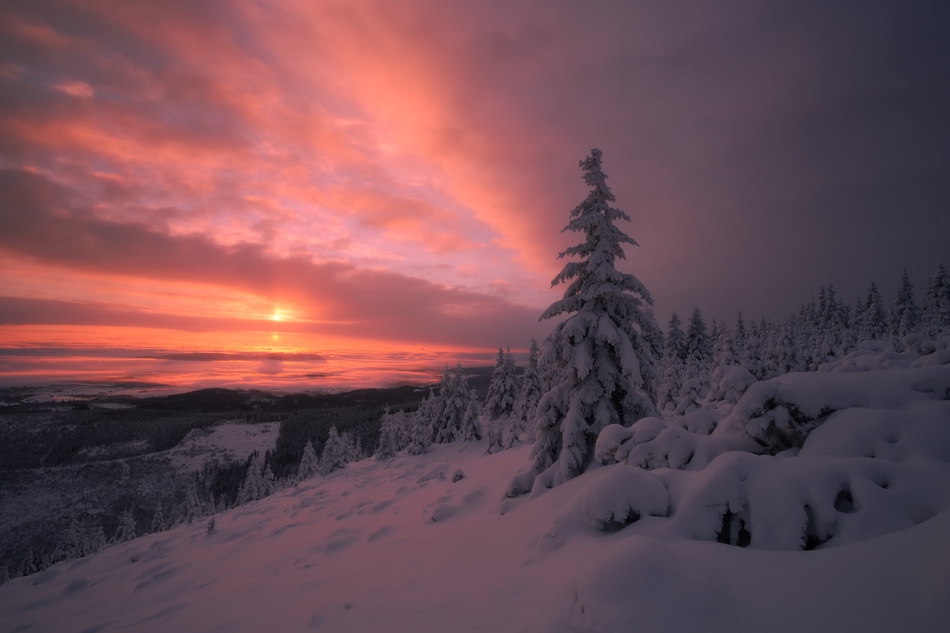 bonnieandclyde - When Frst the Rays of Sunrise Pierces the Clouds..... . Zdjęcie 245078