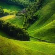 Old Farm