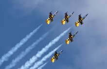 Baltic Bees