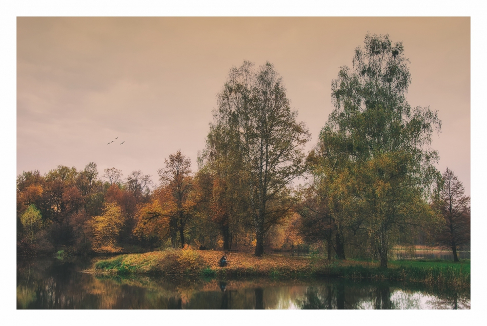 Autumn scene. PE. Zdjęcie 214943