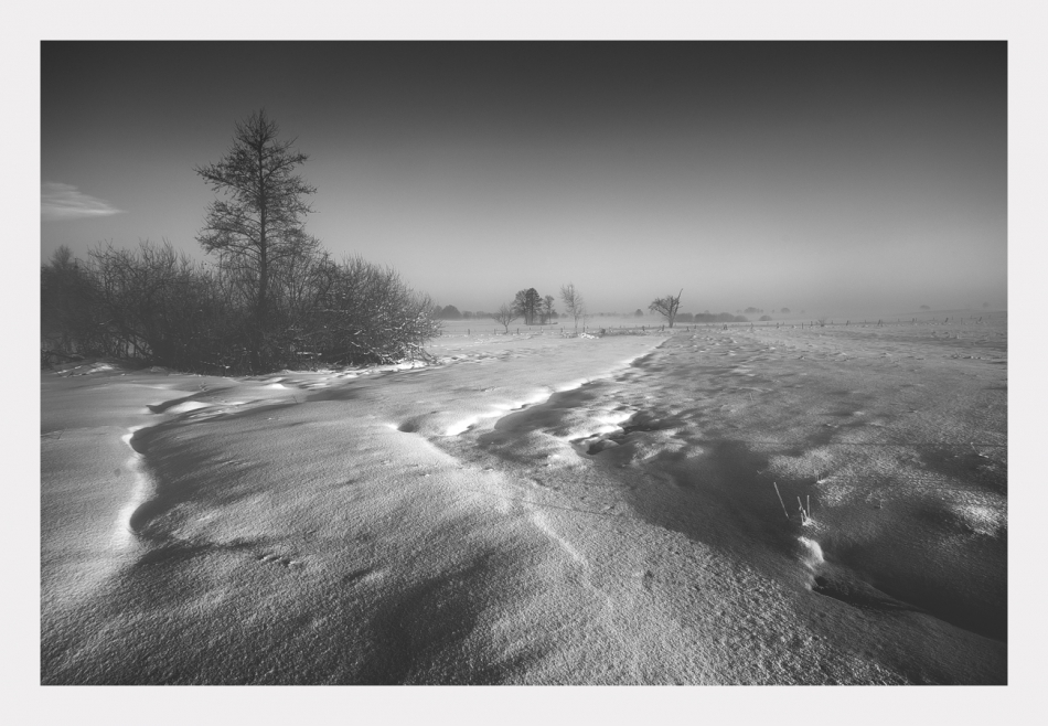 puszek - . . Zdjęcie 290112