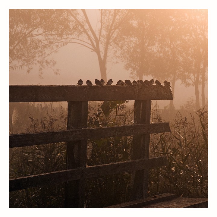 darek_d - oczekiwanie.... . Zdjęcie 10607