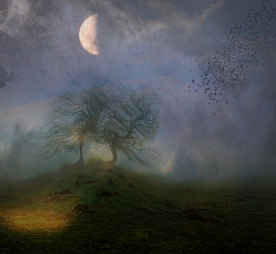 robin74r - Some Mornings.... . Zdjęcie 318765