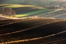 Przekątne