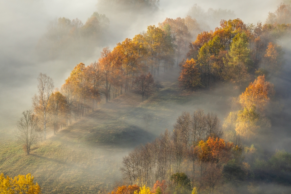 bonnieandclyde - For the Love of Autumn.... . Zdjęcie 327009