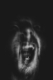 Scream II