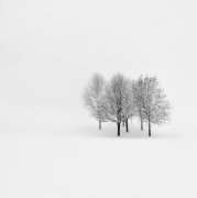 Lonely