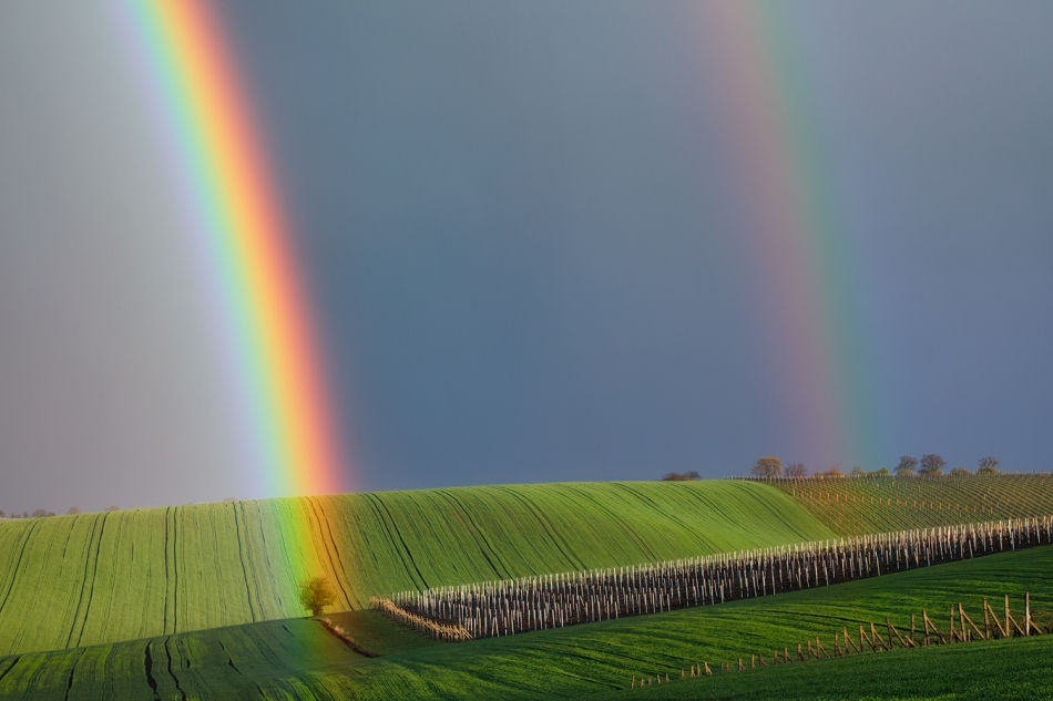 jaskjan - Tęcza nad winnicami. . Zdjęcie 314547