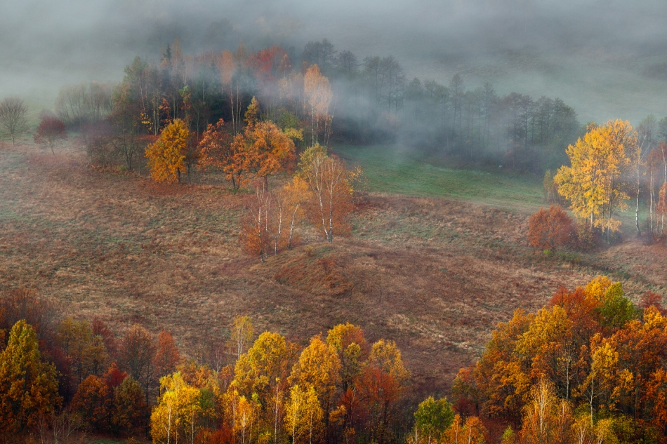 Before the Light.... . Zdjęcie 336720