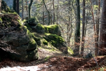 Karkonosze
