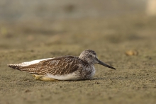 Chwila wytchnienia
