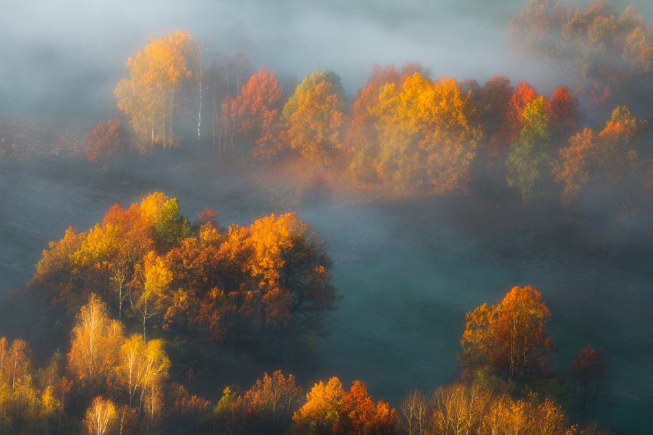 bonnieandclyde - An Autumns Tale...II. . Zdjęcie 297797