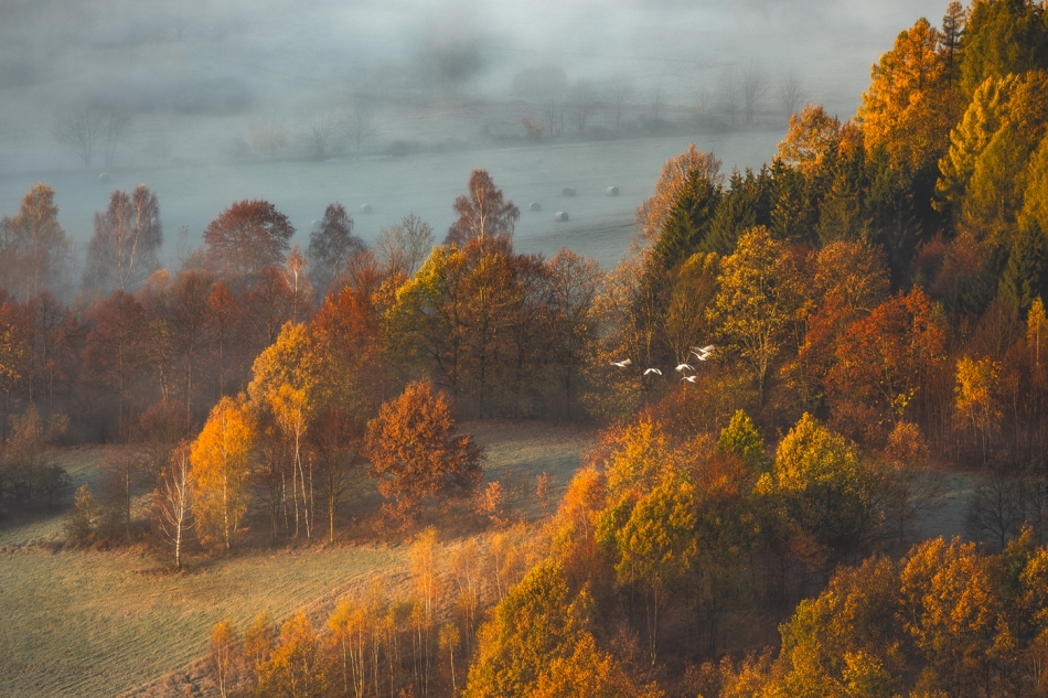 bonnieandclyde - Autumn Deluxe.... . Zdjęcie 327969