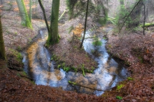 Meander