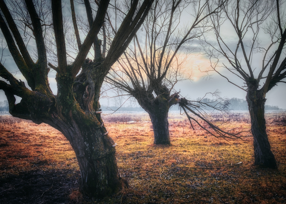 shooter76 - Brak tytułu. . Zdjęcie 297659