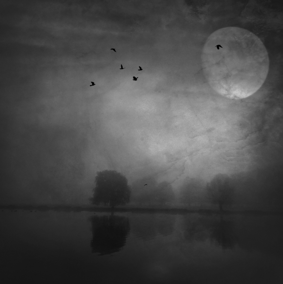 robin74r - Some Mornings.... . Zdjęcie 315200