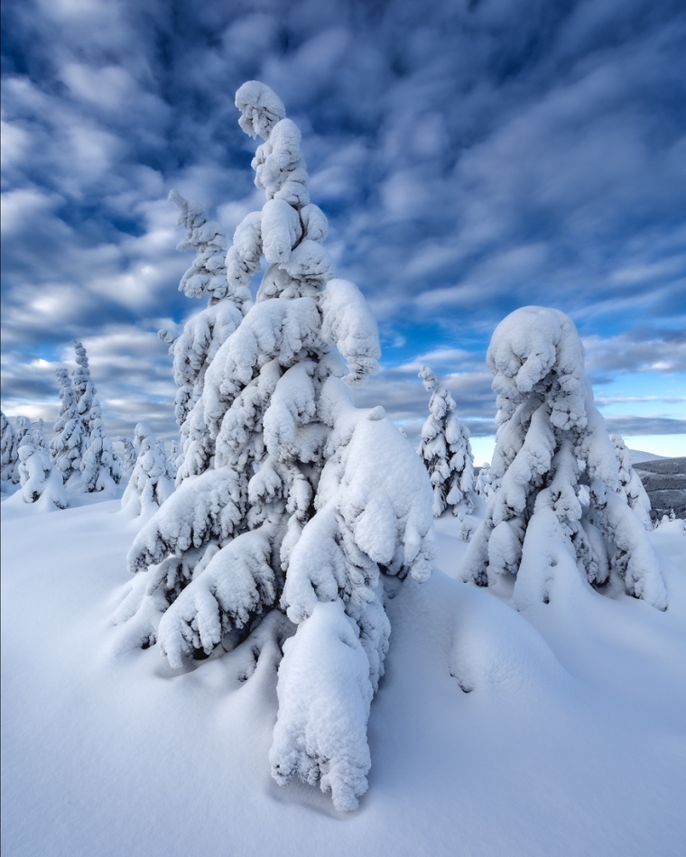 bonnieandclyde - Winter.... . Zdjęcie 329847