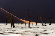 Dead Vlei