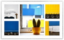 yellow & blue