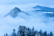 Marcowe Pieniny... 