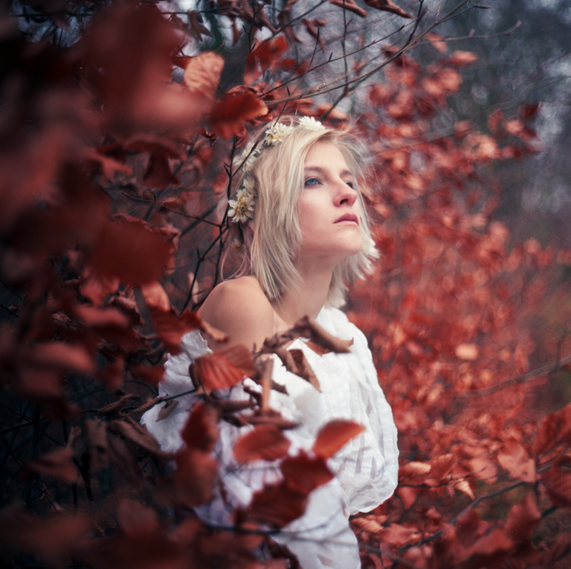jan_kawa - Red queen. KIEV 88 + Kodak Ektar 100. Zdjęcie 110116