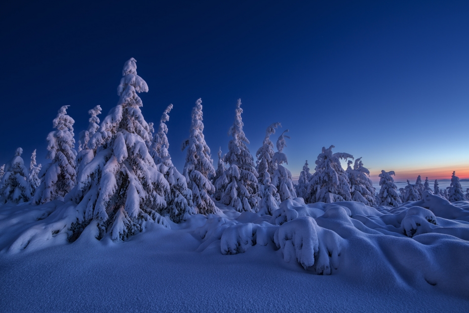 bonnieandclyde - A Winters Tale...... . Zdjęcie 329902