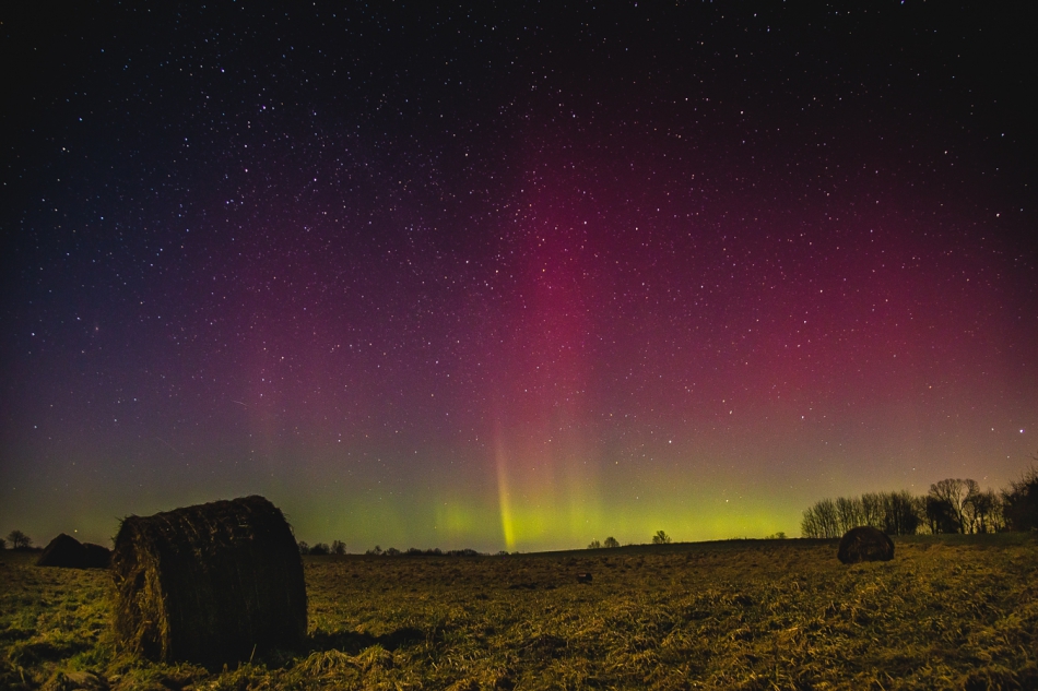 puszek - . 28.03.2023 Warmia. Zdjęcie 312553